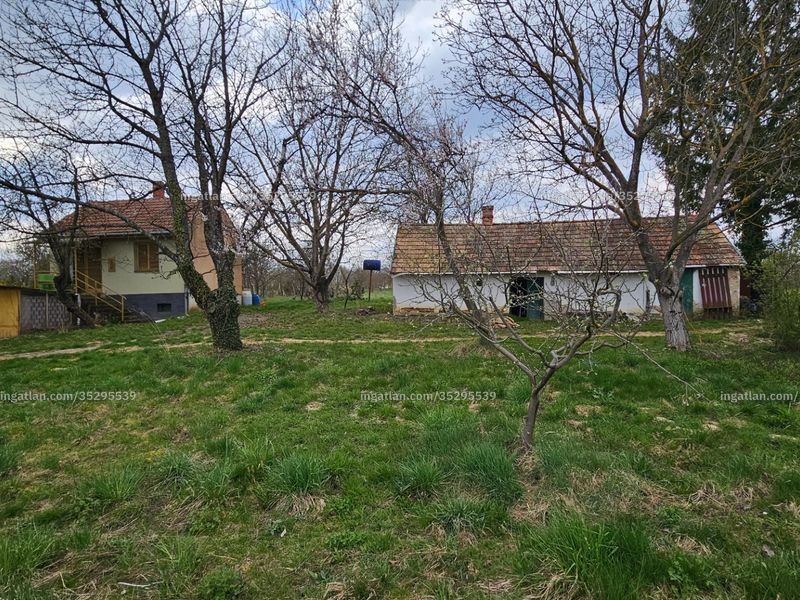 Ingatlan kép