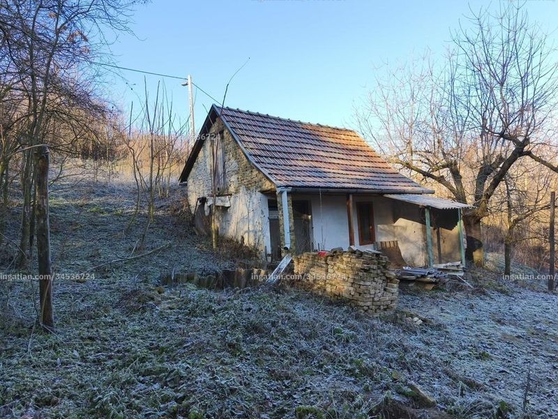 Ingatlan kép