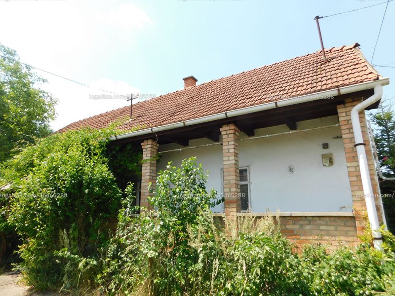 Ingatlan kép