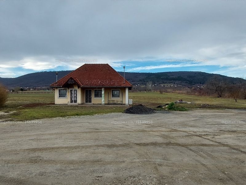 Ingatlan kép