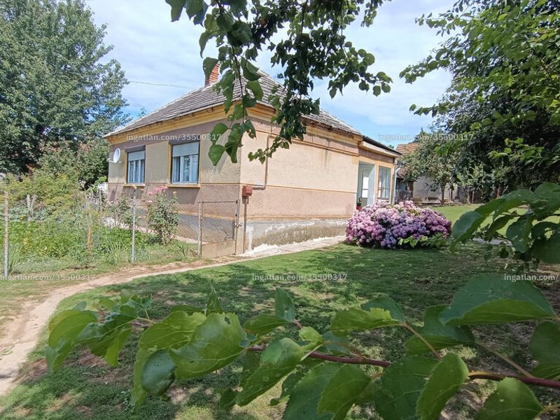Ingatlan kép