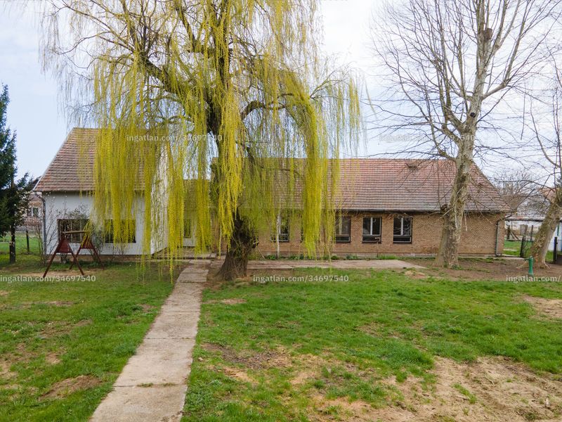 Ingatlan kép