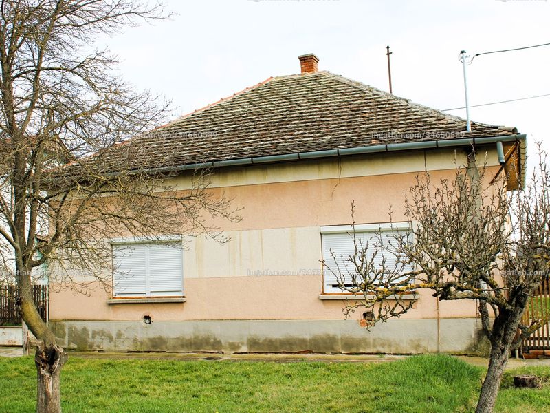 Ingatlan kép
