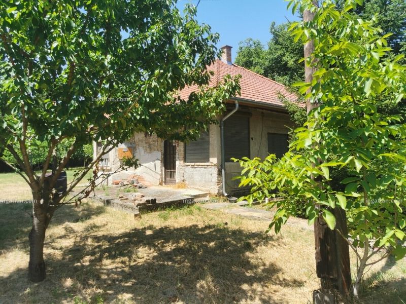 Ingatlan kép