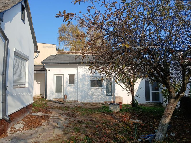 Ingatlan kép