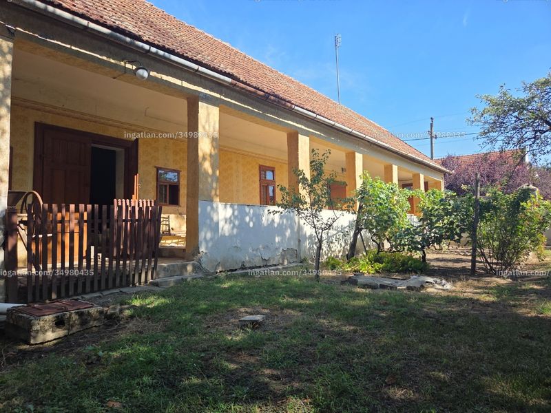 Ingatlan kép