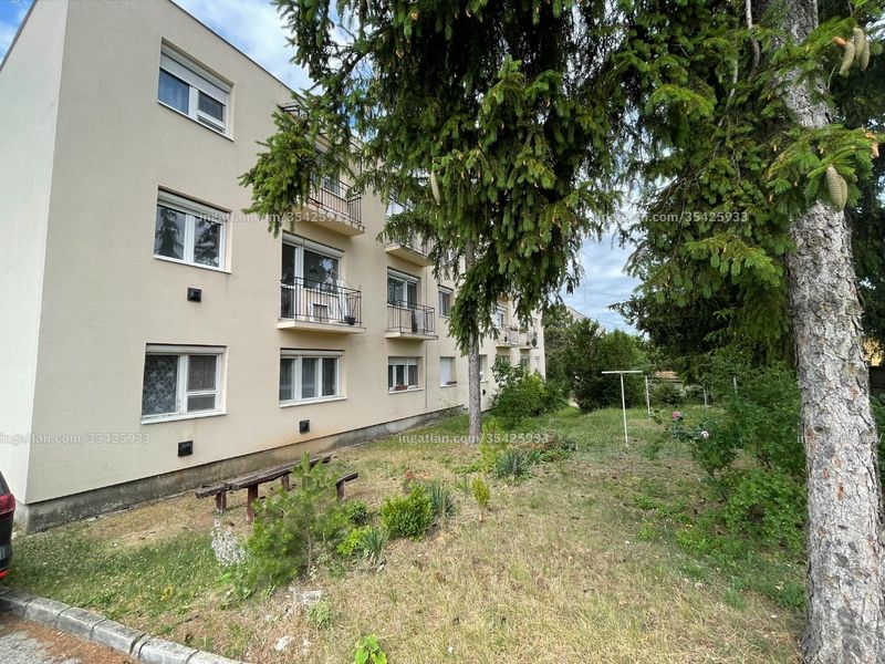 Ingatlan kép