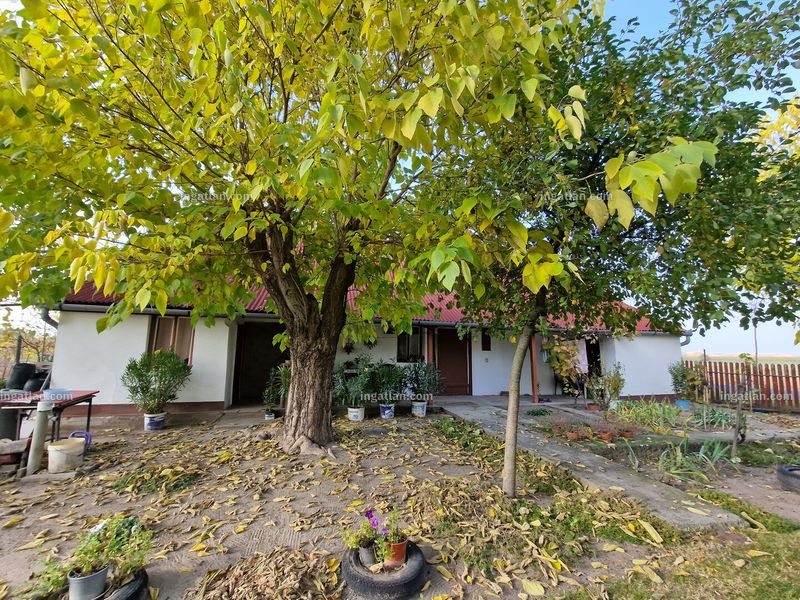 Ingatlan kép