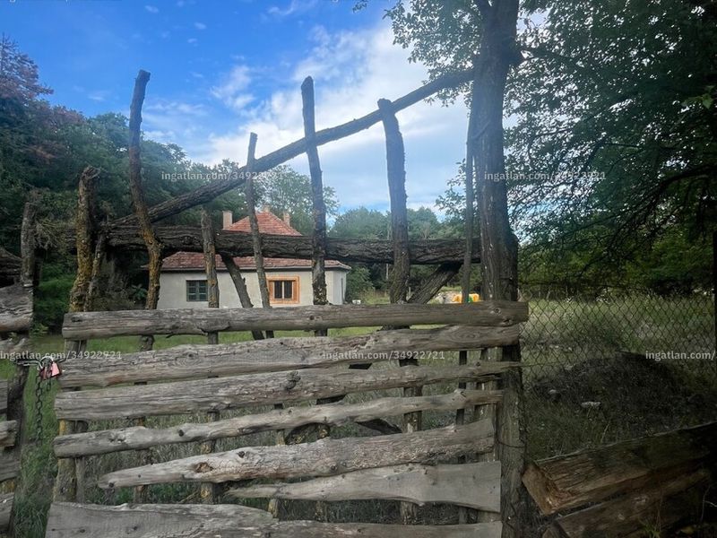Ingatlan kép