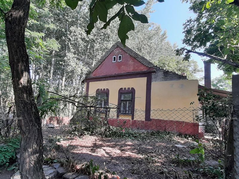 Ingatlan kép