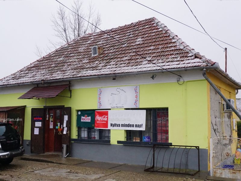 Ingatlan kép