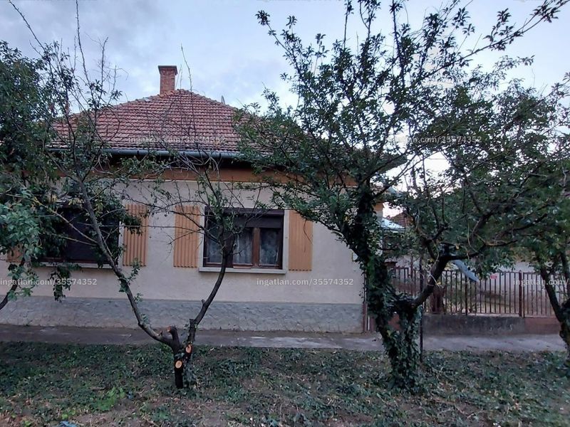 Ingatlan kép