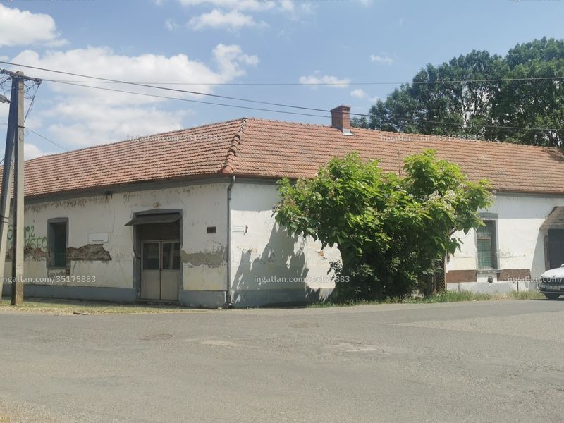 Ingatlan kép