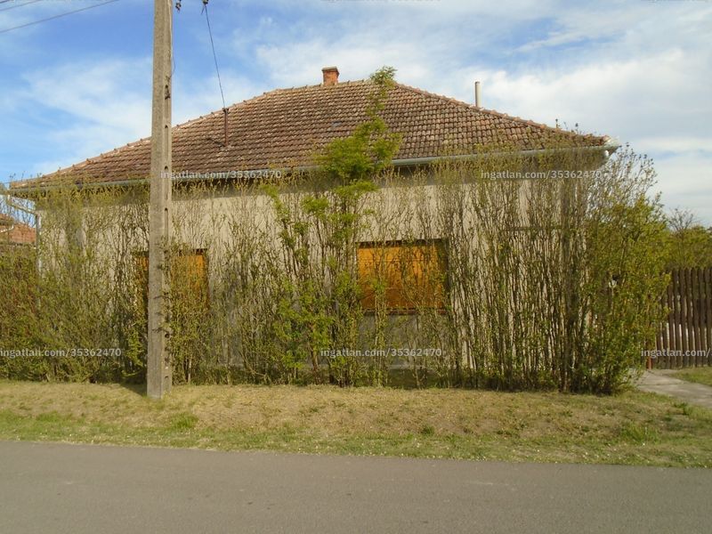 Ingatlan kép