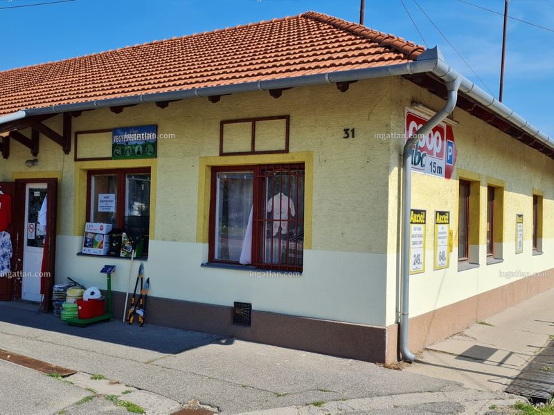 Ingatlan kép