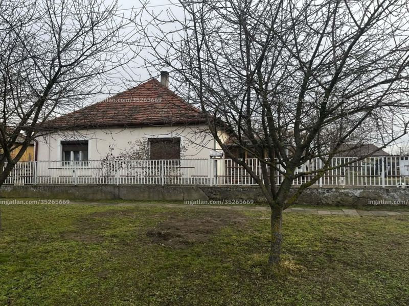 Ingatlan kép