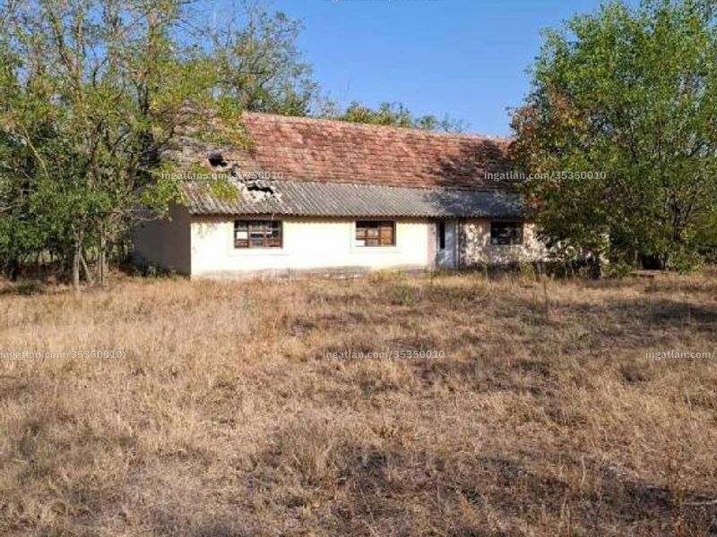 Ingatlan kép