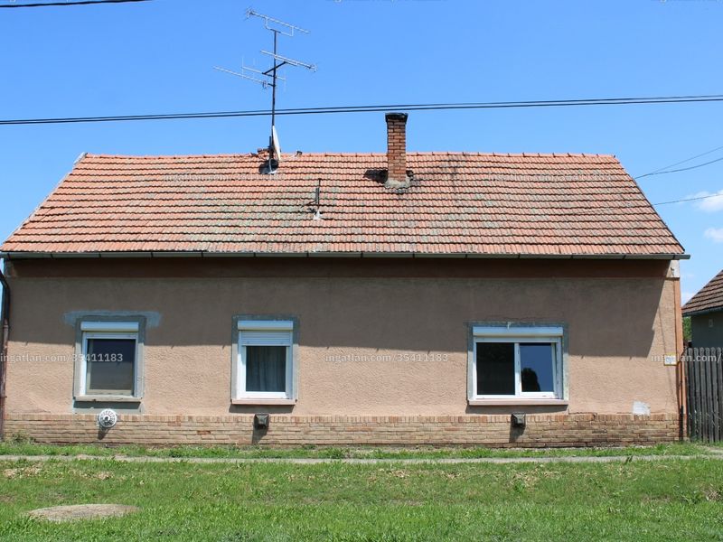 Ingatlan kép