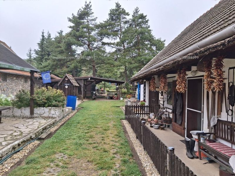 Ingatlan kép