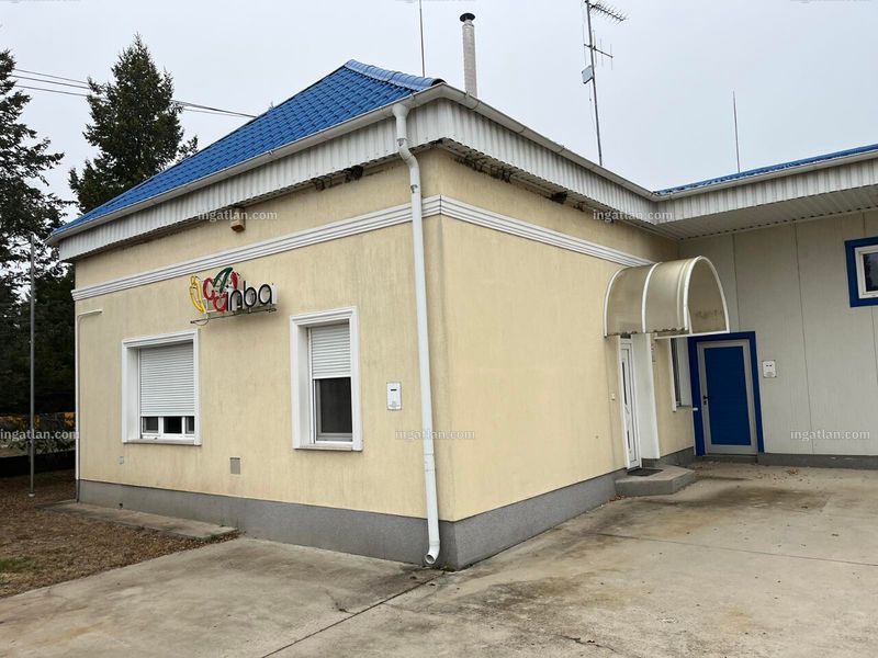 Ingatlan kép