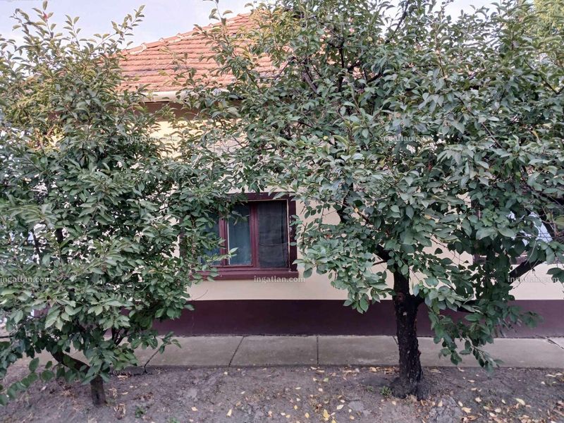 Ingatlan kép