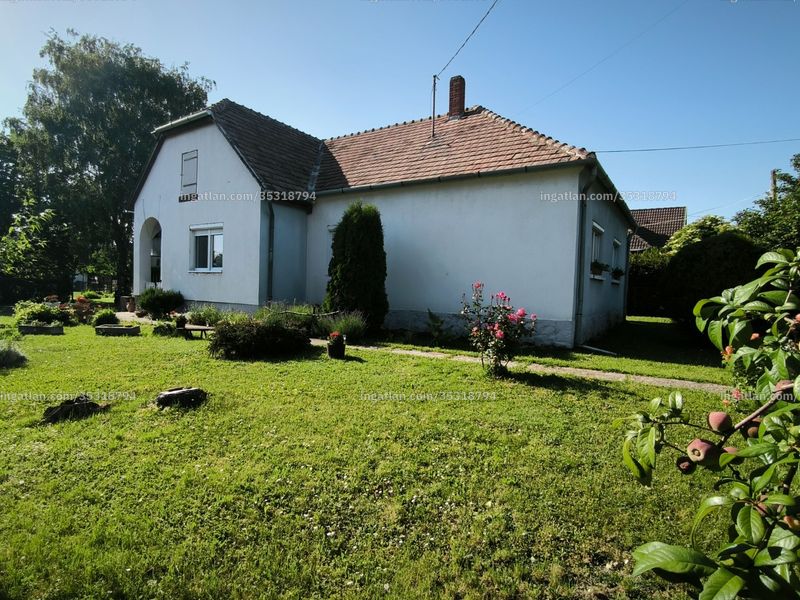 Ingatlan kép