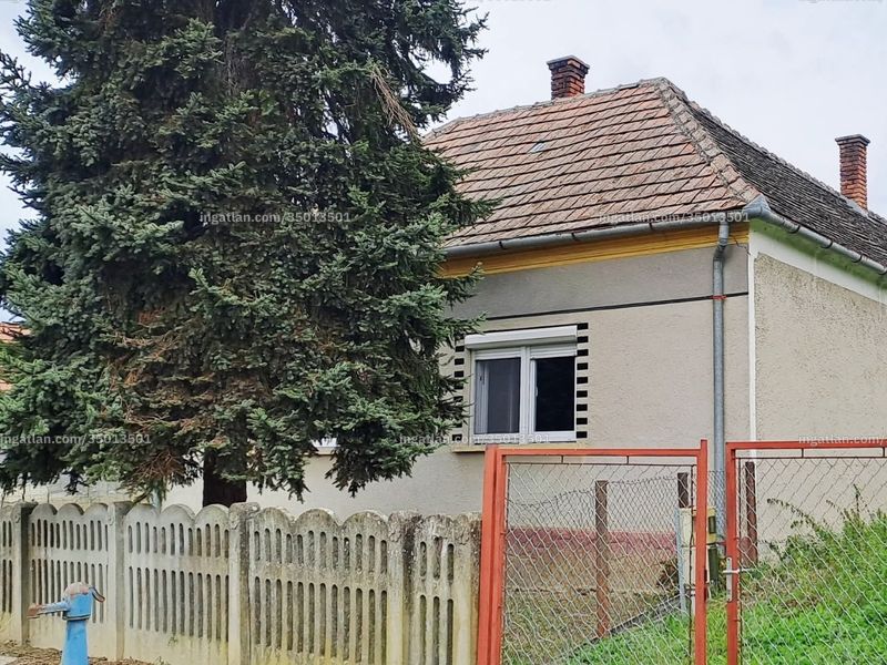 Ingatlan kép