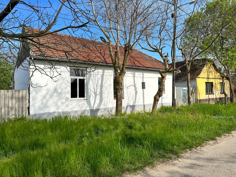 Ingatlan kép