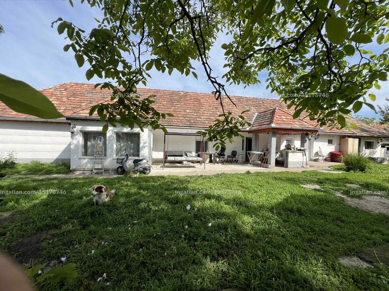 Ingatlan kép