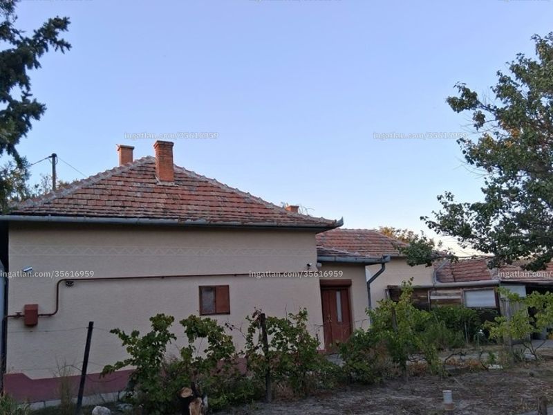 Ingatlan kép