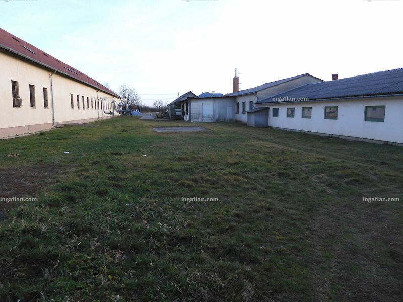 Ingatlan kép