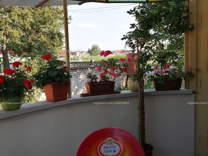 Ingatlan kép