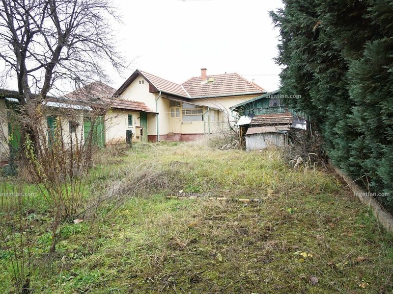 Ingatlan kép