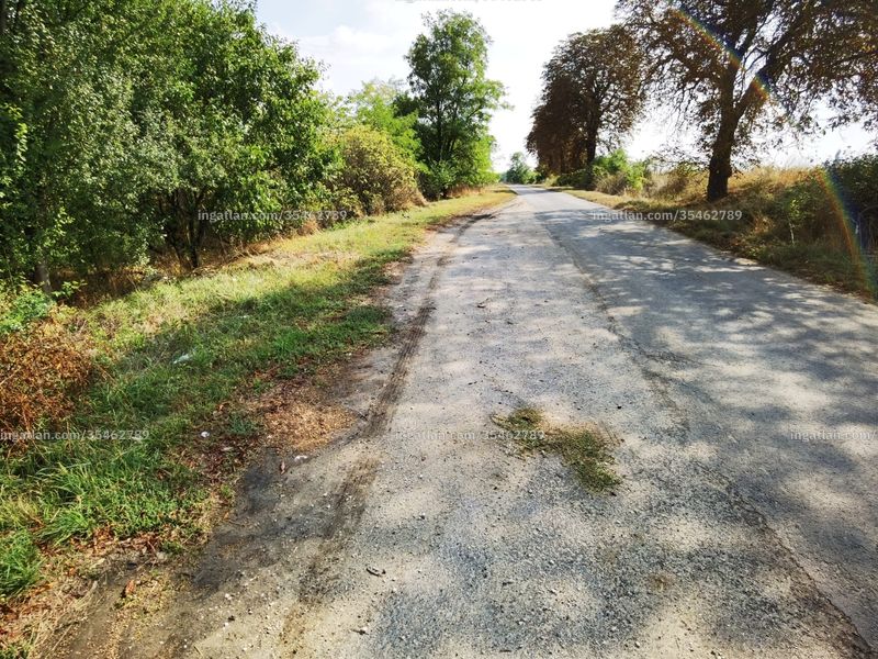 Ingatlan kép