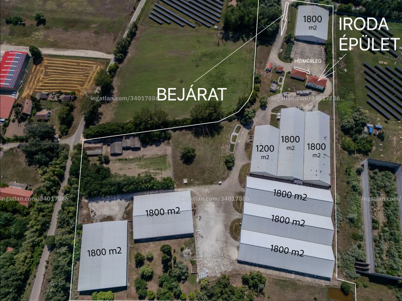 Ingatlan kép