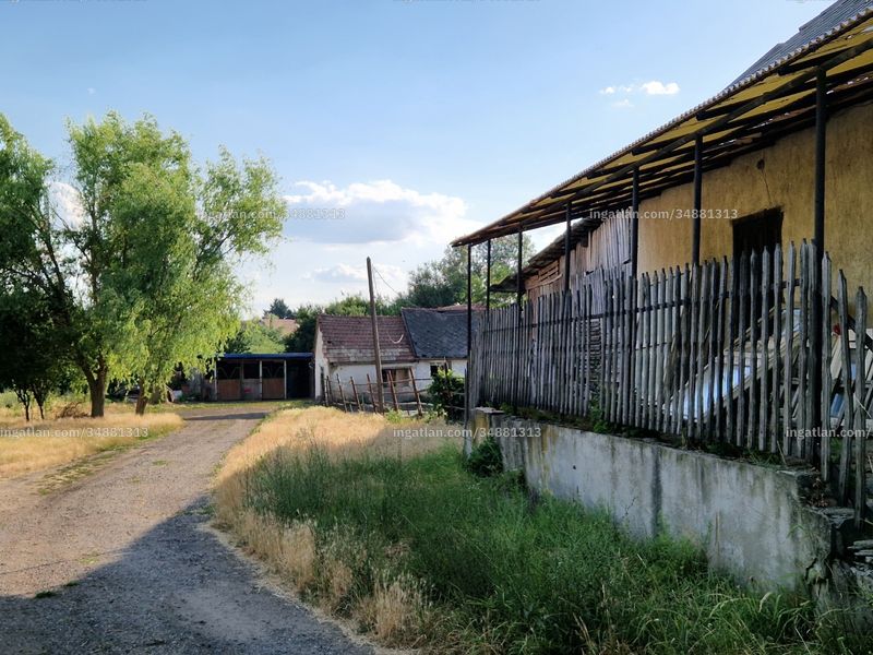 Ingatlan kép