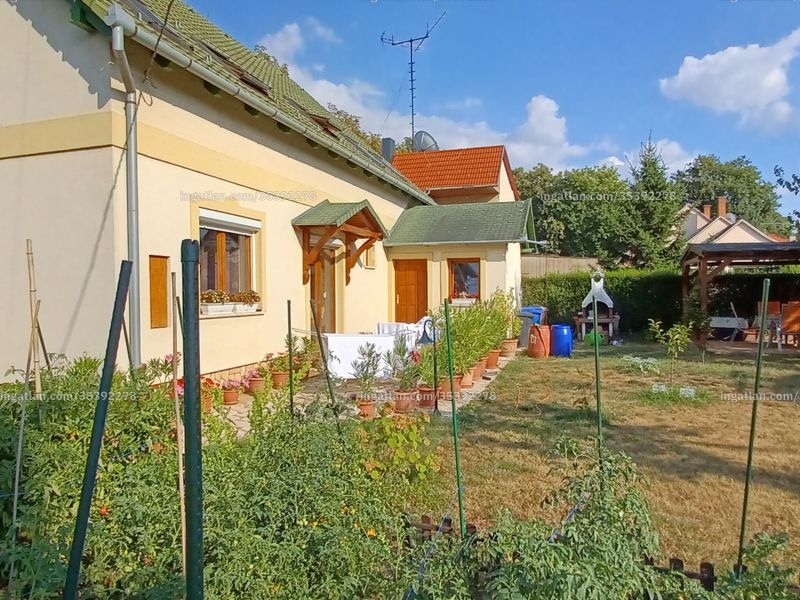 Ingatlan kép