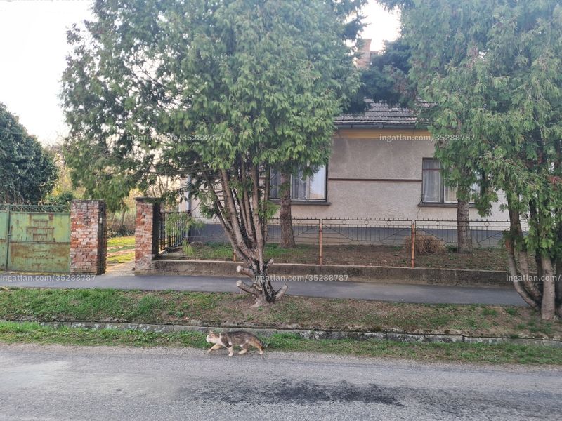 Ingatlan kép