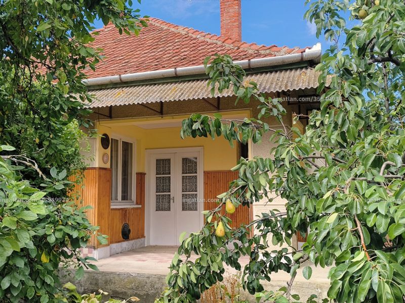Ingatlan kép