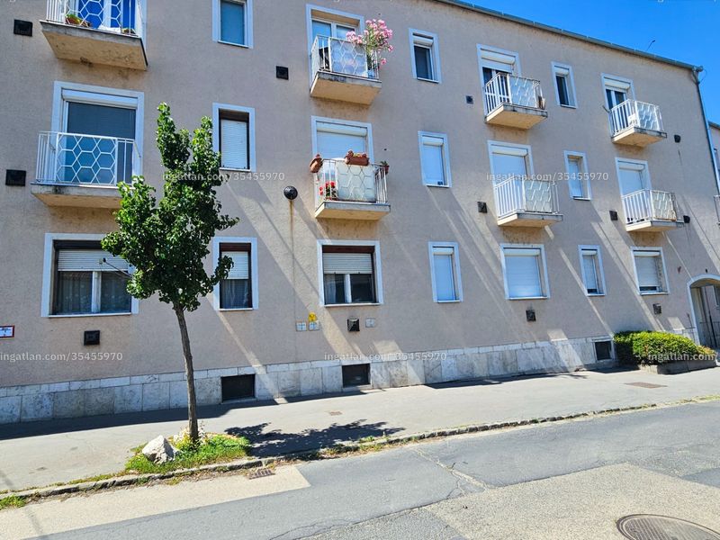 Ingatlan kép