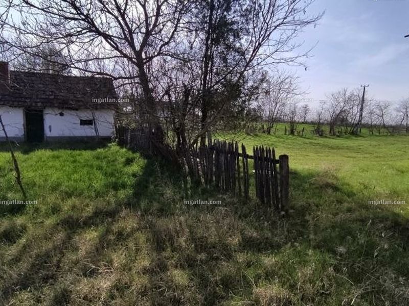 Ingatlan kép