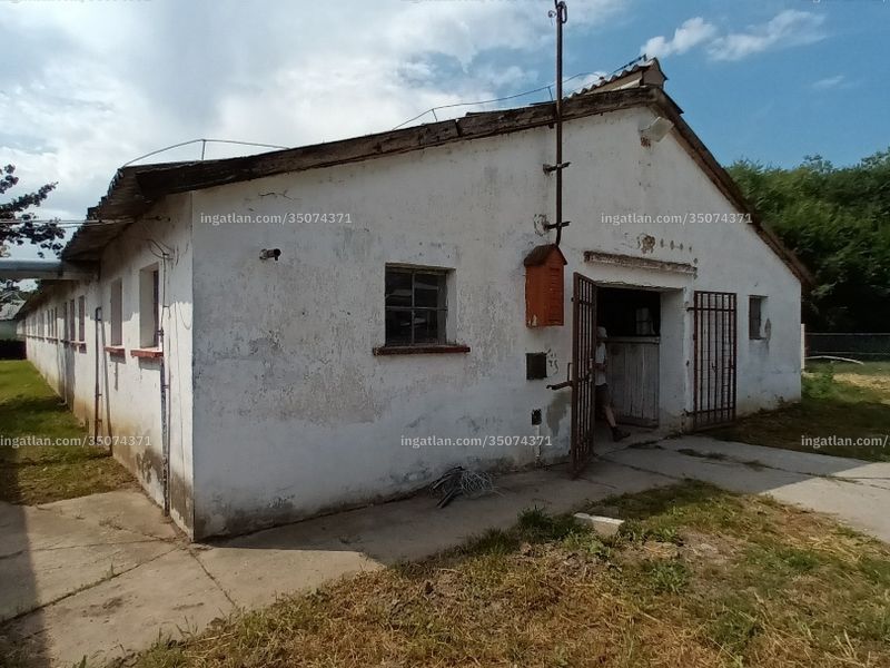 Ingatlan kép