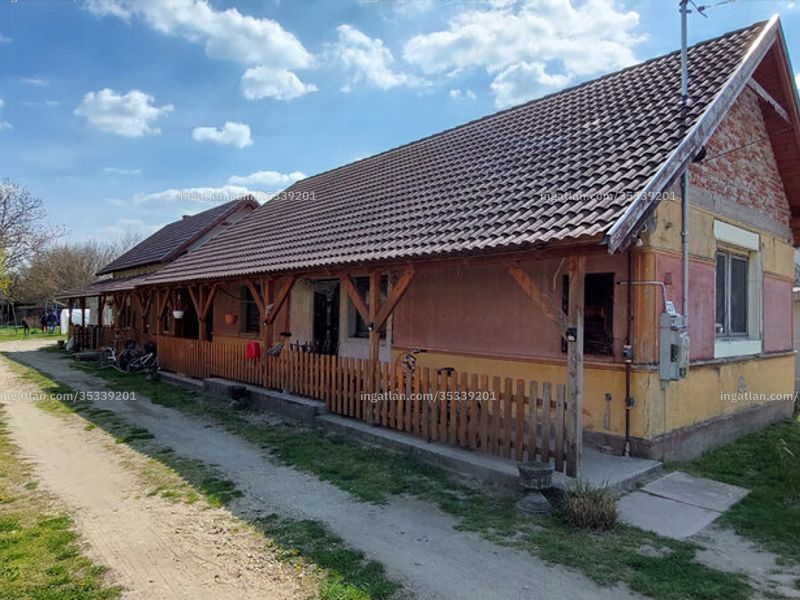 Ingatlan kép