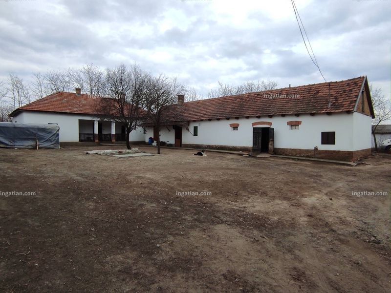 Ingatlan kép