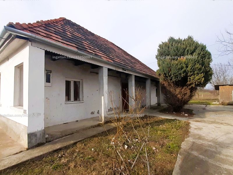 Ingatlan kép