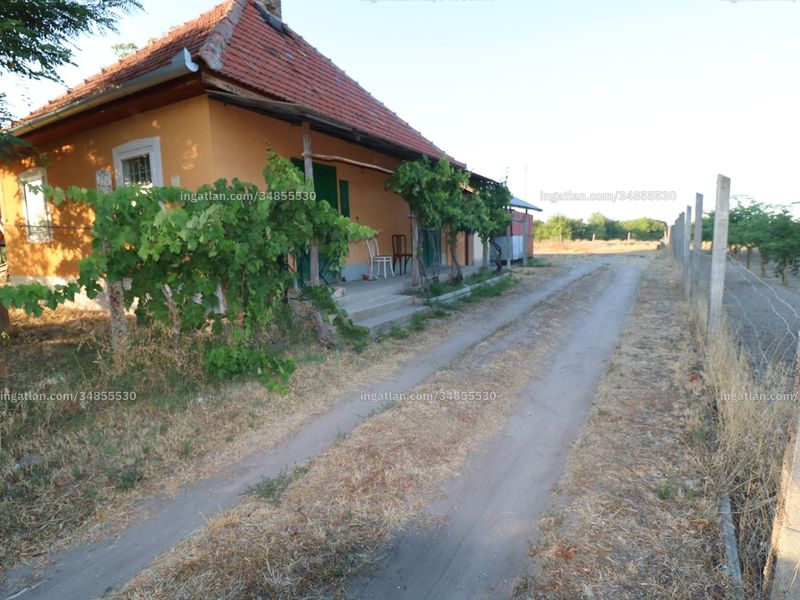 Ingatlan kép