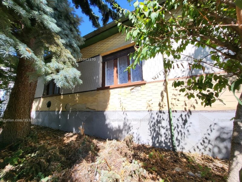 Ingatlan kép