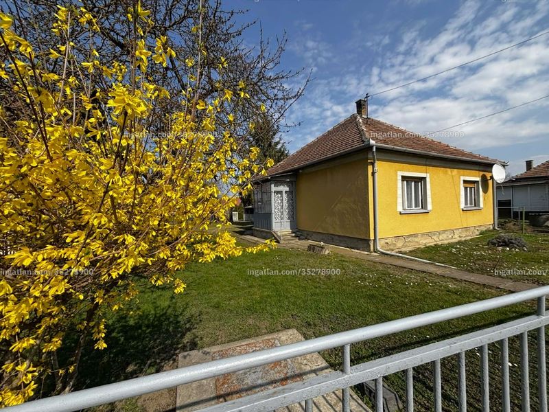 Ingatlan kép