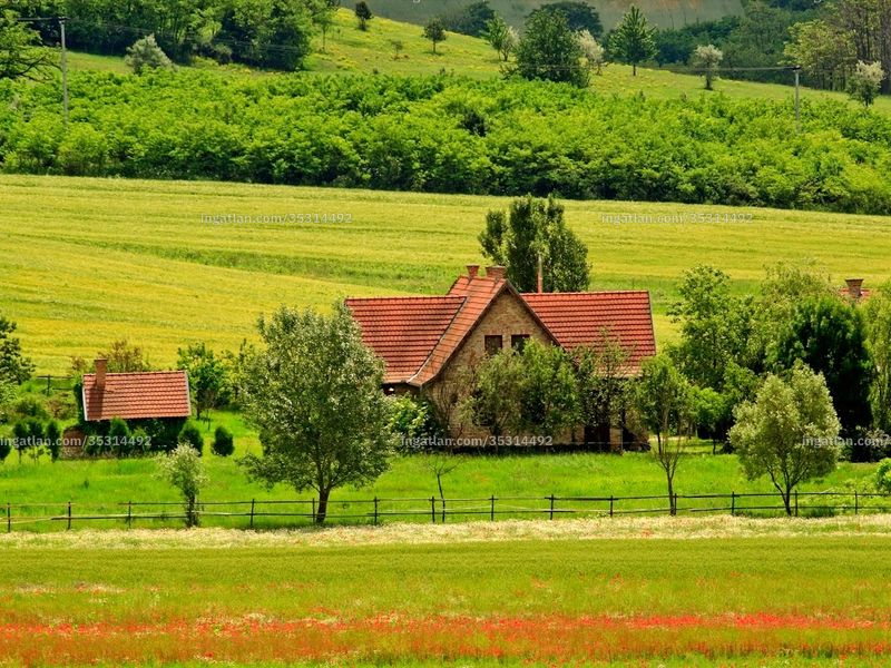 Ingatlan kép