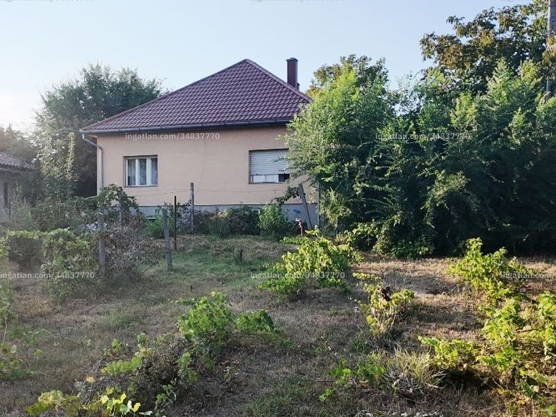 Ingatlan kép